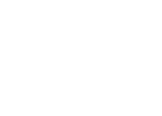 Lexus car logo